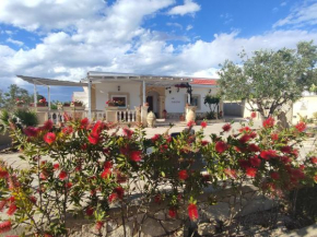 Le Anfore del Salento Bed and Breakfast
